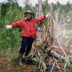 Irina Noskova, Изумруд