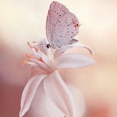 Наталья Куницкая-Степанова, 04.09