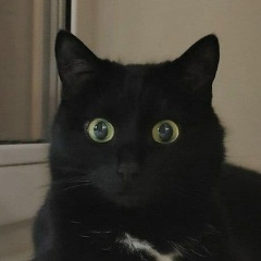 Анастасия Самсонникова, 01.03