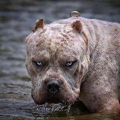 Batyrbek Sagyndyk, 28.02.1986, Актобе