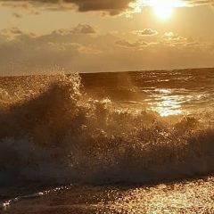 Поличка Круль, Санкт-Петербург