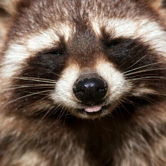 Наира Амян, 12.03.1987, Москва