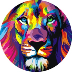 Graft Ik, Донецк