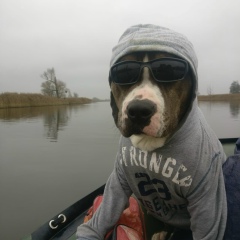 Сергей Жигулин, 02.01.1981, Калининград