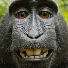 Владимир Роменский, 19.07.1985, Москва