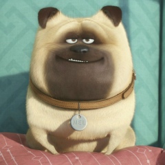 Канат Кайратов, 18.06.1997, Алматы