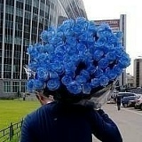 Султан Башаков, Кордай