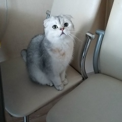 Виталий Егоренков, 14.05.1978, Санкт-Петербург