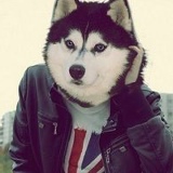 Igor' Kim, 02.06, Тараз