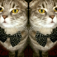 Андрей Тарасенко, 24.04.1987