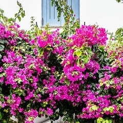 Эльмира Мержоева, 23.07, Ростов-на-Дону