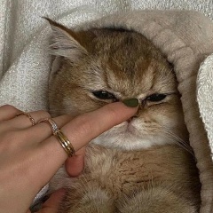 Изабелла Дав, 17.12.1957, Москва