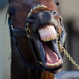 Антон Коваленко, 28.12, Хабаровск