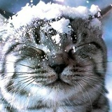 Сергей Красников, 23.02.1995, Новый Буг