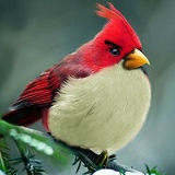 Руслан Сапронов, 23.04, Москва