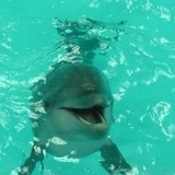 Раиль Набиуллин, 08.02.1969, Москва