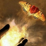 Allein Wolf, Potsdam