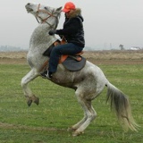 Ильяс Мухамеджан, 22.04.1981, Алматы