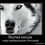Миша Беспалов, 10.02.1992, Нальчик