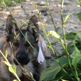 Александр Леутин, 26.07.1984, Санкт-Петербург