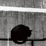 Олег Павловский, 09.11