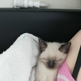 Елена Кампен, 14.02.1985, Hettstedt