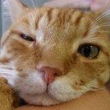 Светланка Манасова, 07.04.1983, Одесса