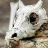 Геннадий Бабков, Урзуф