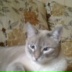 Денис Шумилин, 31.05.1996, Калтан