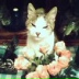 Basilio Alfonso, 01.04.1996, Санкт-Петербург