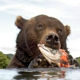 Антон Волошин, 22.12.1920