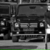 Алена Любезнова, 11.08.1993, Махачкала