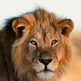 Vitalii Stasiuk, 30.08.1983, Харьков