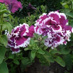 Наталья Мариневич, 14.04, Санкт-Петербург