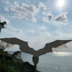 Тимур Шафигулин, Санкт-Петербург