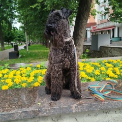 Светлана Бережецкая, 19.05, Пермь
