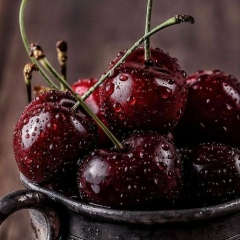 Майя Плесецкая, Самара