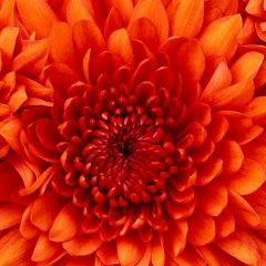 Айдын Айдарова, 18.03.1985