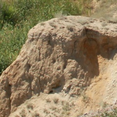 Дмитрий Попов, 26.08