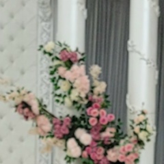 Sandi Sandi, 24.12.1967