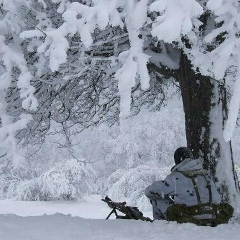 Али Бепиев