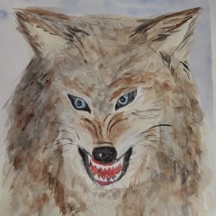 Дмитрий Колосков, 07.06