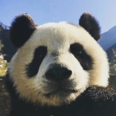 Ulukbek Sultanov, 18.07, Бишкек