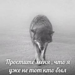 Билял Шамсудинов, 12.10.1997, Махачкала
