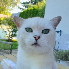 Диля Уткузова, 12.09, Potsdam