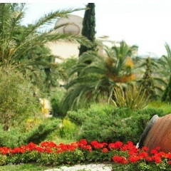 Farida Alizar, 17.04, Antalya