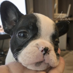 Наталья Гончаренко, 04.02.1980, Семей