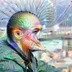 Эдвард Мусаев, Дубна