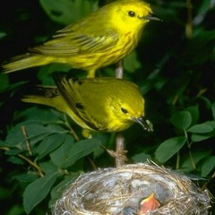 Изабелла Дементьева, 06.08, Санкт-Петербург