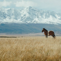 Виталий Ардиматов, 09.02, Москва
